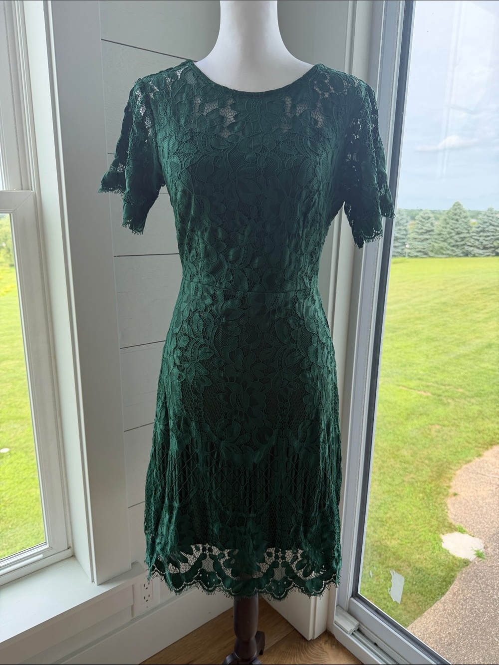 Elegant Dark Green Lace Fit & Flare Dress